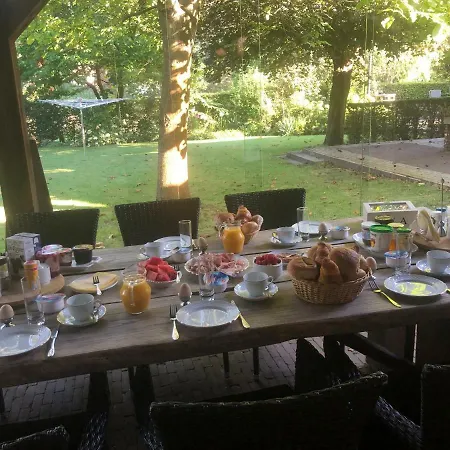 De Kees 埃尔瑟尔